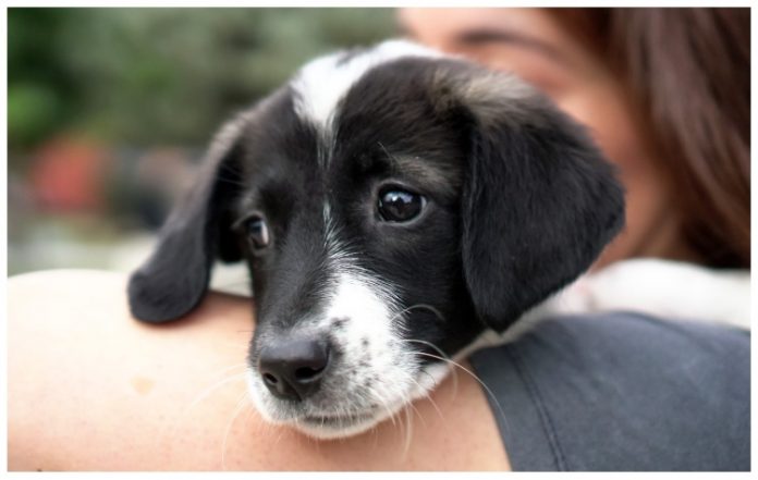 Επιστολή προς τον Δήμο Αλίμου από τους μαθητές του 4ου Δημοτικού Σχολείου