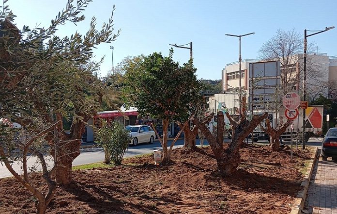 Eνέργειες του Δήμου για απομάκρυνση των πεσμένων δέντρων