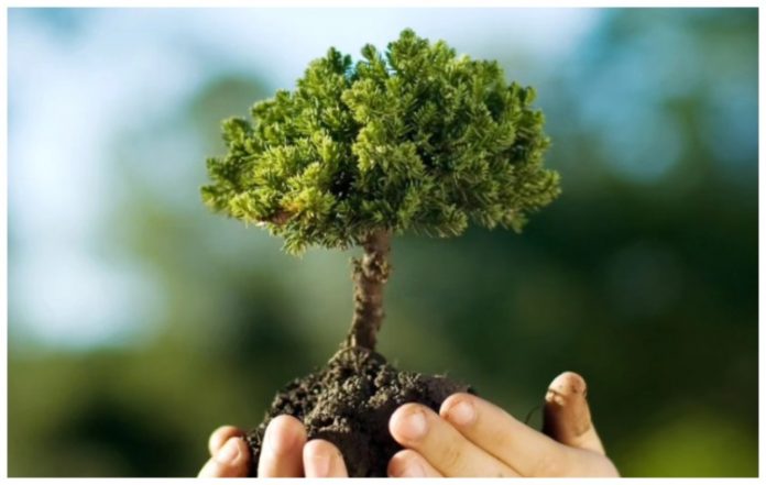 Δεντροφύτευση στο Πάρκο Κυκλοφοριακής Αγωγής Αλίμου