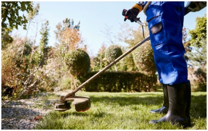 Δήμος Αλίμου: Έως τα τέλη Απριλίου ο καθαρισμός οικοπέδων