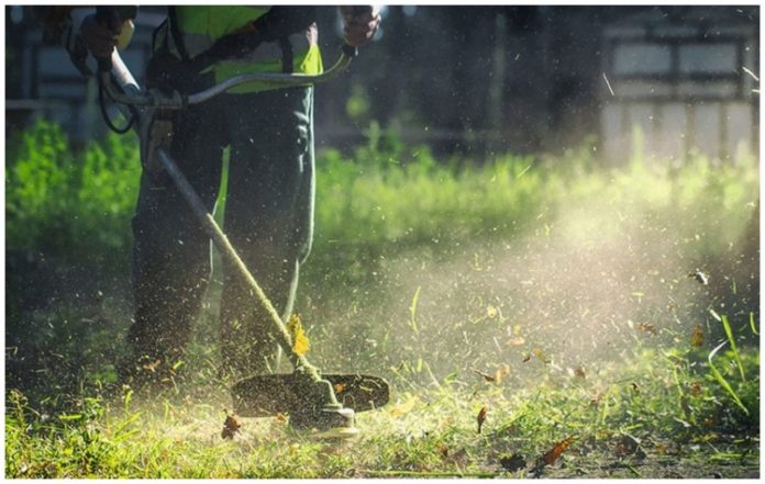 Υπενθύμιση Κονδύλη για καθαρισμούς και αποψιλώσεις οικοπέδων