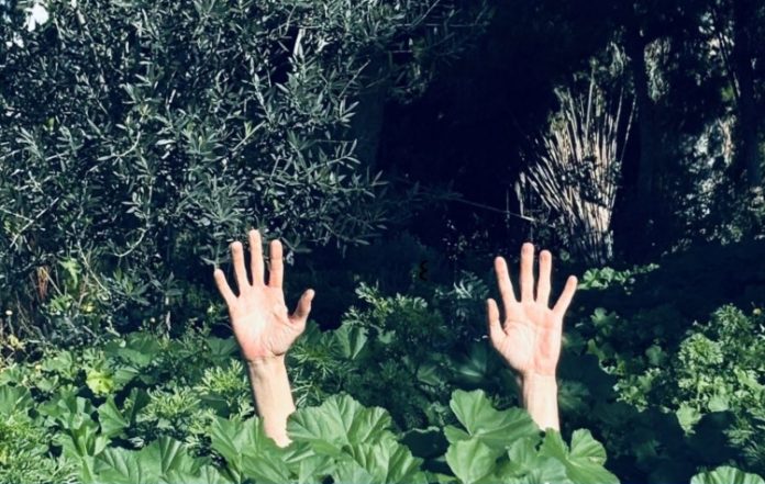 «Ο Κόσμος του Κήπου» – Ολοκληρώθηκε η πρώτη Κυριακή στον κήπο Ντάνκαν