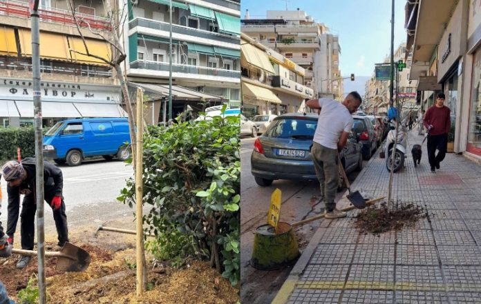 Ολοκληρώθηκαν οι δεντροφυτεύσεις στα Ιλισια