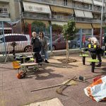 Ολοκληρώθηκε η δεντροφύτευση σε Παιδική Χαρά στα Ιλίσια
