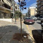 Νέες φυτεύσεις στις γειτονιές του Ζωγράφου