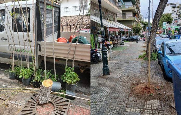 Νέες φυτεύσεις στις γειτονιές του Ζωγράφου
