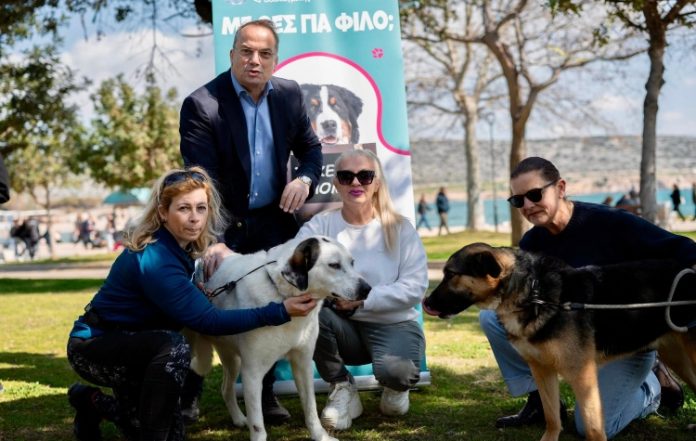 Ημέρα Υιοθεσίας Σκύλου: Στην παραλία της Βάρκιζας φιλόζωοι και αδέσποτα σκυλάκια