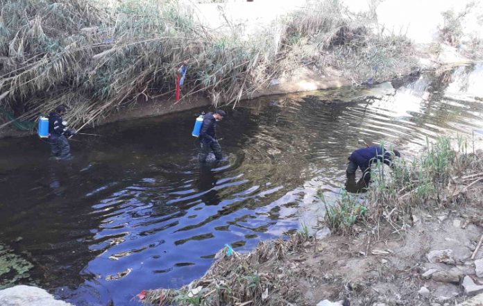 Π. Φάληρο: Ξεκίνησε το πρόγραμμα διαχείρισης κουνουπιών