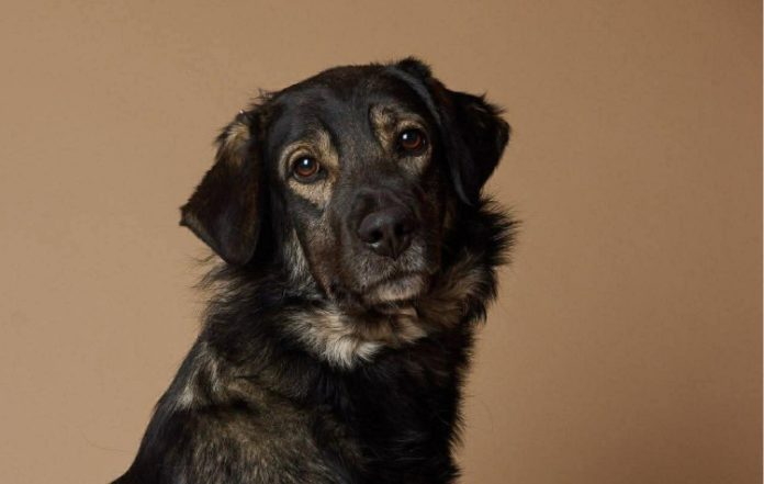 Δύο πασχαλινά μπαζάρ στη Γλυφάδα με φιλανθρωπικό χαρακτήρα