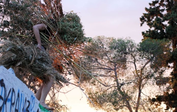 Μεσόγειος και κλιματική κρίση στο πρόγραμμα MATCH στον Βύρωνα