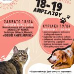 Διήμερο πρόγραμμα φιλοζωικών δράσεων στο Δήμο Ζωγράφου