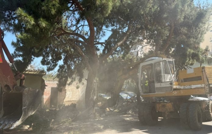 Κατεδαφίστηκαν αυθαίρετα κτίσματα στο Ρέμα της Πικροδάφνης