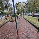 Συνεχίζονται οι καθαρισμοί στις γειτονιές του Ζωγράφου