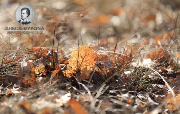 Μέτρα πυροπροστασίας στον Βύρωνα: Τι πρέπει να κάνουν οι ιδιοκτήτες έως τις 15 Ιουνίου