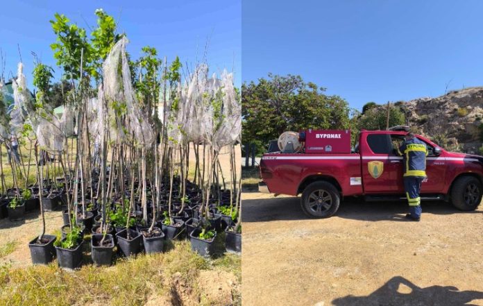 Πιο πράσινος ο Βύρωνας με 150 νέες φυτεύσεις