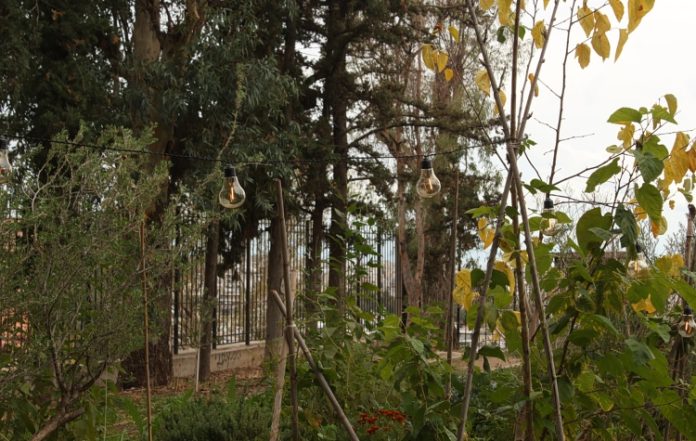 M.A.T.C.H. Athens: Η τέχνη ως εργαλείο κατανόησης της κλιματικής κρίσης