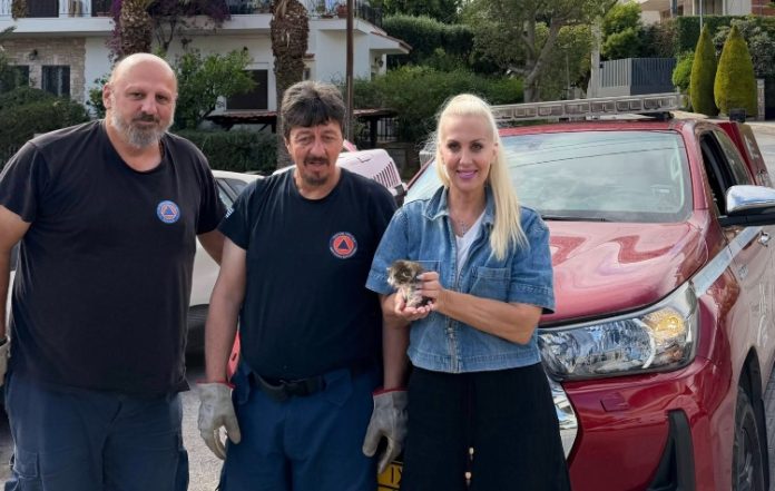 Κάτοικοι και Πολιτική Προστασία έσωσαν εγκλωβισμένο γατάκι στη Βούλα (Video)