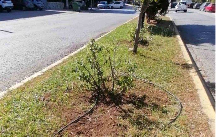 «Πράσινη» ανάπλαση σε Άλσος Κιντής και Μαρίνου Αντύπα Ηλιούπολης