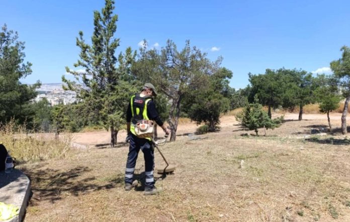 Εργασίες αποψίλωσης και περιποίησης πρασίνου σε γειτονιές της Καισαριανής