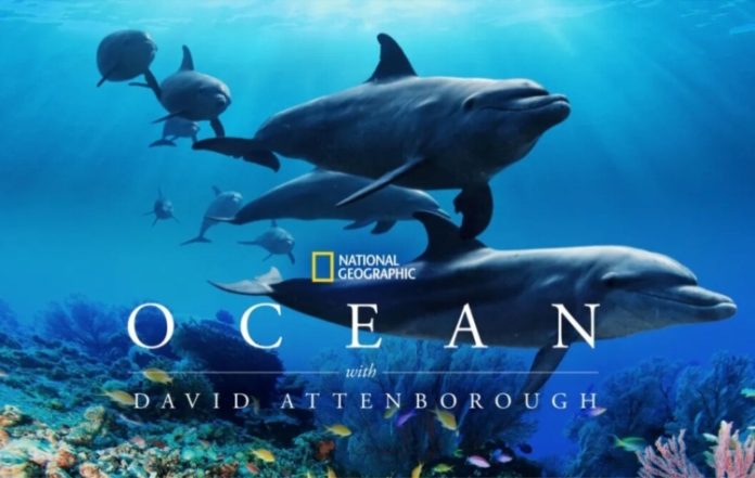 Η Sea Shepherd Greece στο φεστιβάλ Mare Nostrum στη Βάρη