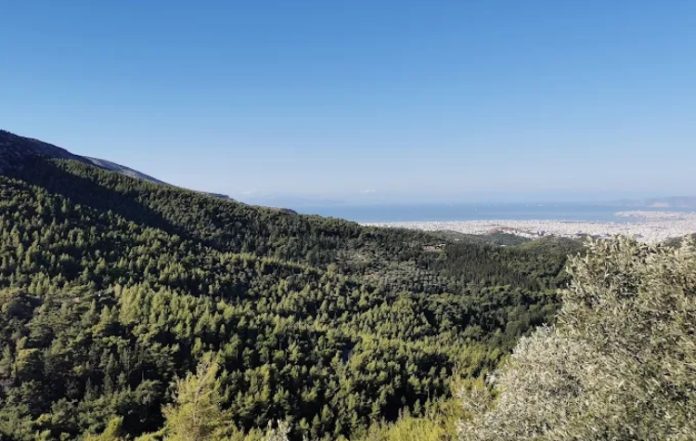 Πεζοπορία γύρω από την κορυφή «Κακοβούλα» στον Νότιο Υμηττό